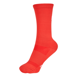 Chaussettes longues | CORAIL
